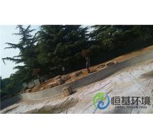 迎宾馆湿地工程—景观树种植